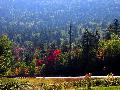 gal/holiday/USA 2002 - Kancamagus Highway/_thb_A02_US_View_across_highway_DSC04676.JPG
